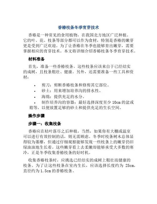 香椿枝条冬季育芽技术