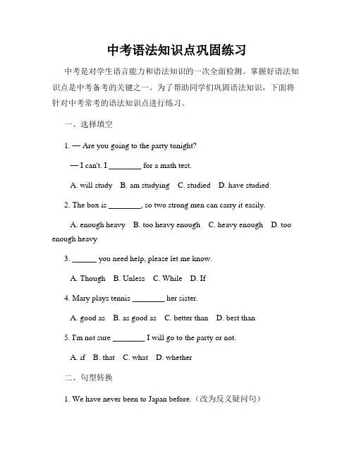 中考语法知识点巩固练习