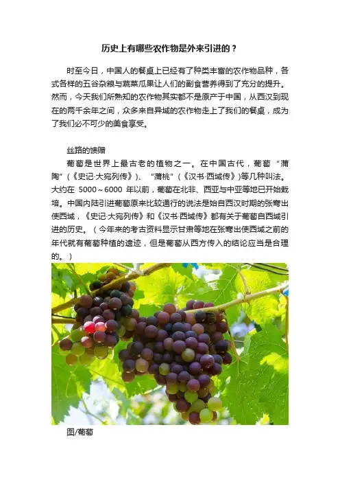 历史上有哪些农作物是外来引进的？