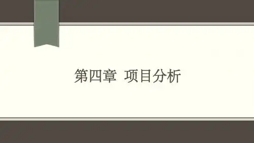 第4章  项目分析