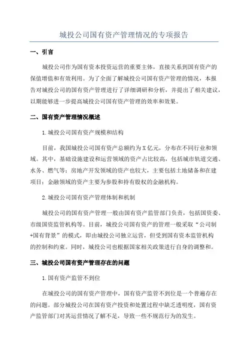 城投公司国有资产管理情况的专项报告