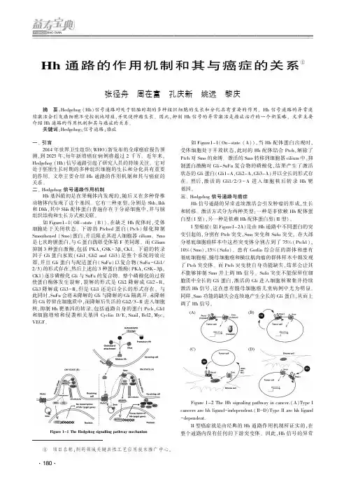 Hh通路的作用机制和其与癌症的关系