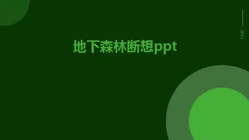 地下森林断想ppt