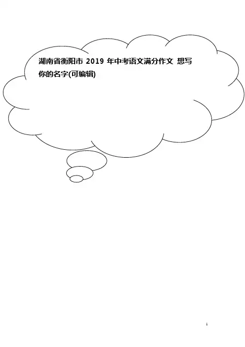 湖南省衡阳市2019年中考语文满分作文 想写你的名字