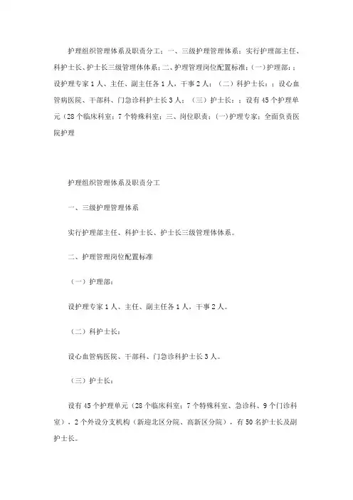 护理组织管理体系及职责分工