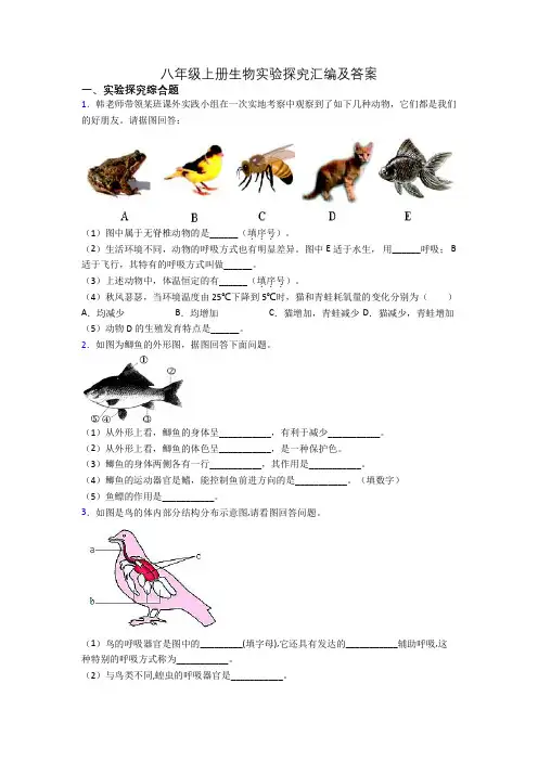 八年级上册生物实验探究汇编及答案[004]