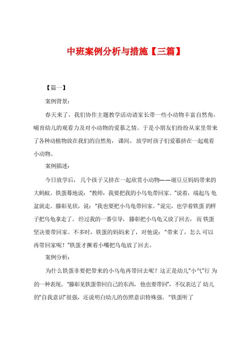 中班案例分析与措施【三篇】