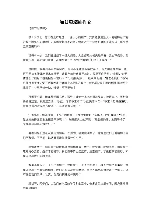 细节见精神作文