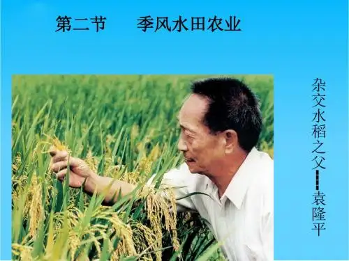 高中地理季风水田农业课件 人教版必修2