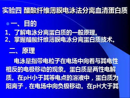 醋酸纤维薄膜电泳法分离血清蛋白质