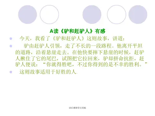 读后感指导完美版 ppt课件