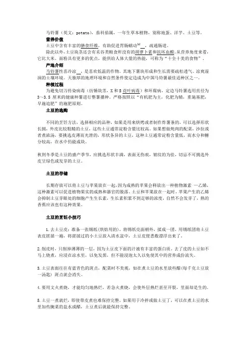 马铃薯