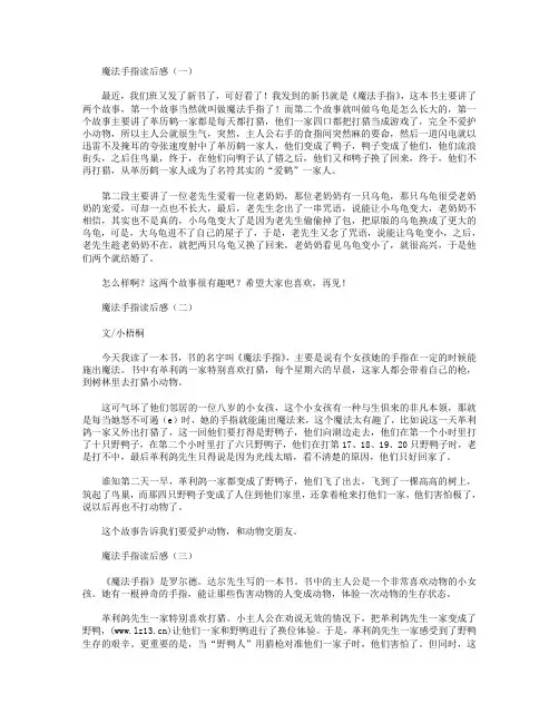 魔法手指读后感