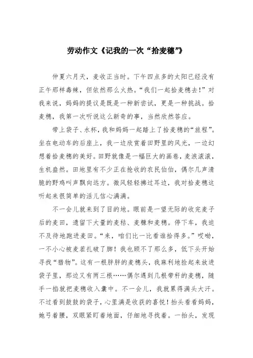 劳动作文《记我的一次“拾麦穗”》