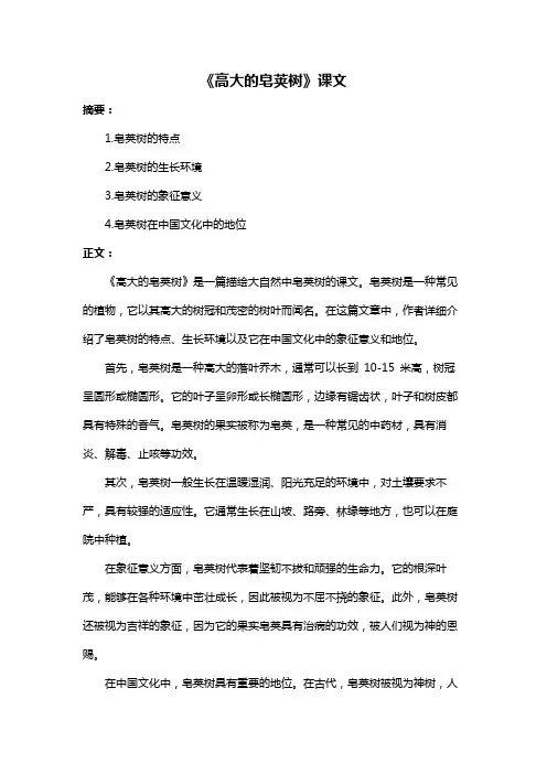《高大的皂荚树》课文
