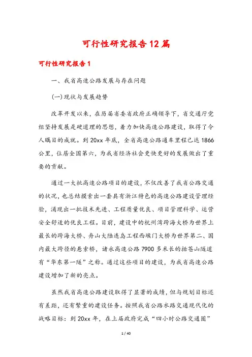 可行性研究报告12篇