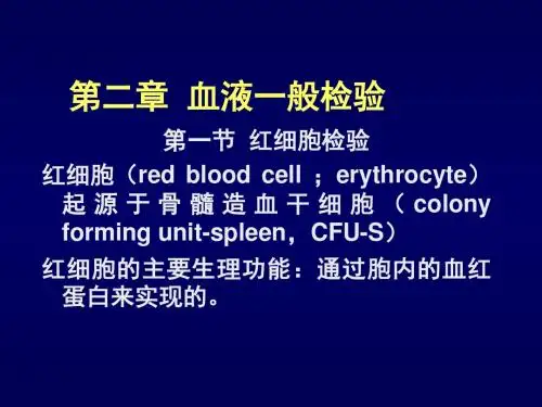 血液一般检验