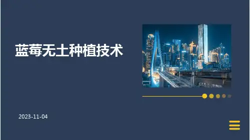 蓝莓无土种植技术