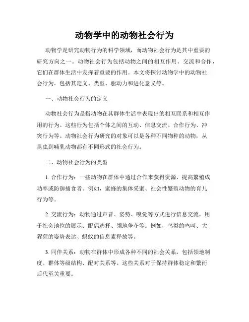 动物学中的动物社会行为