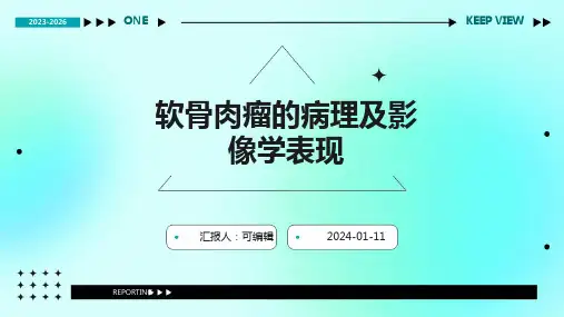 软骨肉瘤的病理及影像学表现PPT