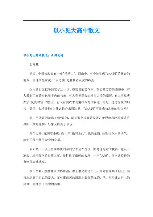 以小见大高中散文