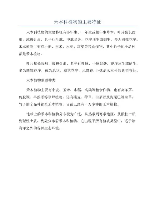 禾本科植物的主要特征