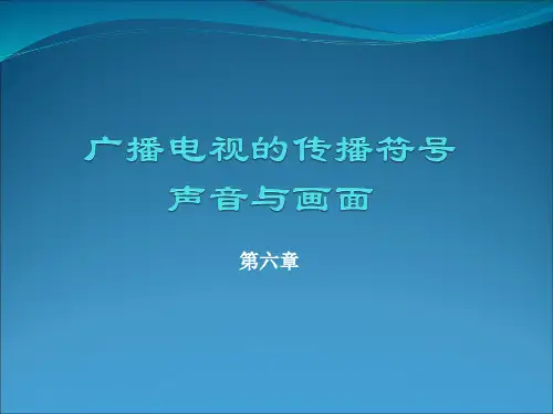 第六章 广播电视的传播符号——声音与画面