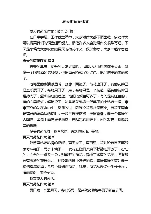 夏天的荷花作文（精选24篇）