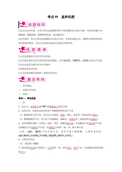 2023年中考化学专题《盐和化肥》精品讲解含答案解析