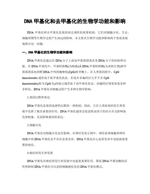 DNA甲基化和去甲基化的生物学功能和影响