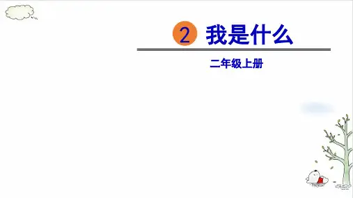《我是什么》课件完美版(共35张PPT)