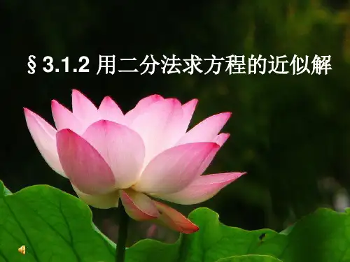 二分法_ppt