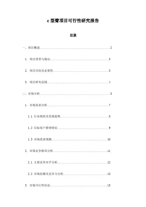 c型臂项目可行性研究报告