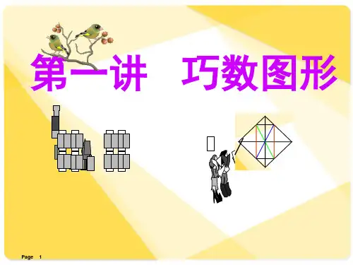 巧数图形(课堂PPT)