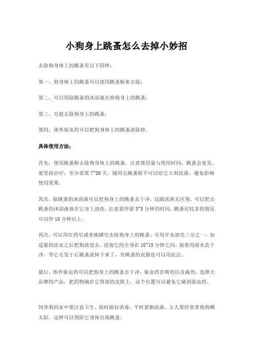 小狗身上跳蚤怎么去掉小妙招