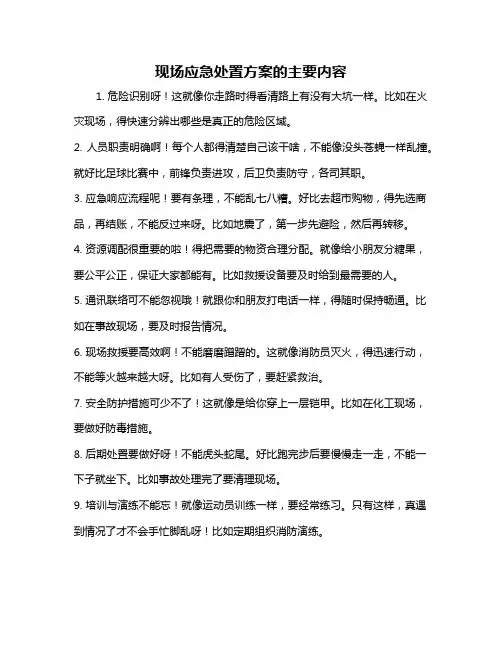 现场应急处置方案的主要内容