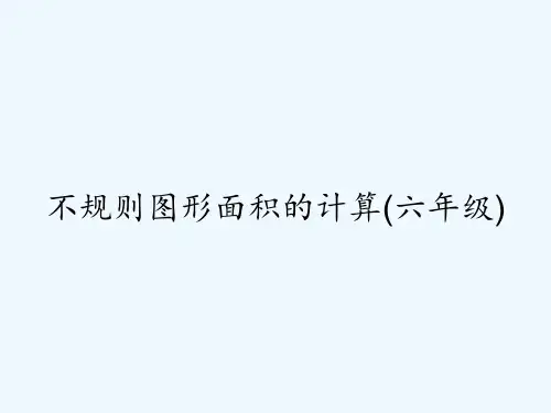 不规则图形面积的计算(六年级) PPT