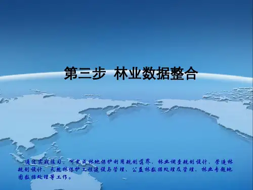 林业数据整合-04