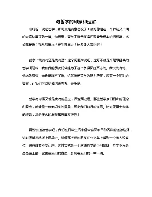 对哲学的印象和理解