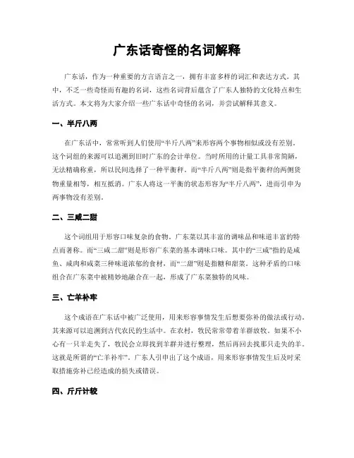 广东话奇怪的名词解释