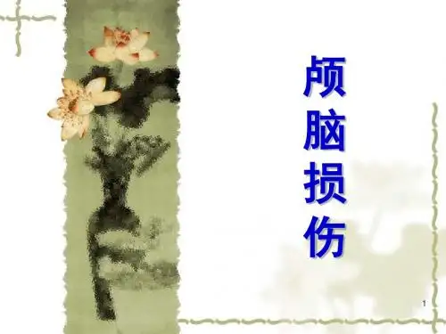 颅脑损伤ppt课件