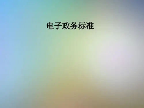 电子政务标准