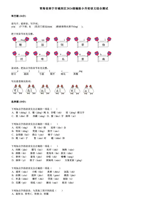 青海省西宁市城西区2024部编版小升初语文综合测试