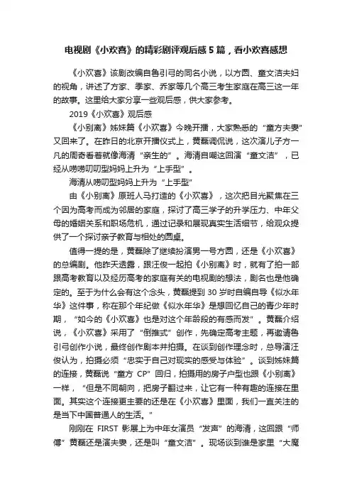 电视剧《小欢喜》的精彩剧评观后感5篇，看小欢喜感想