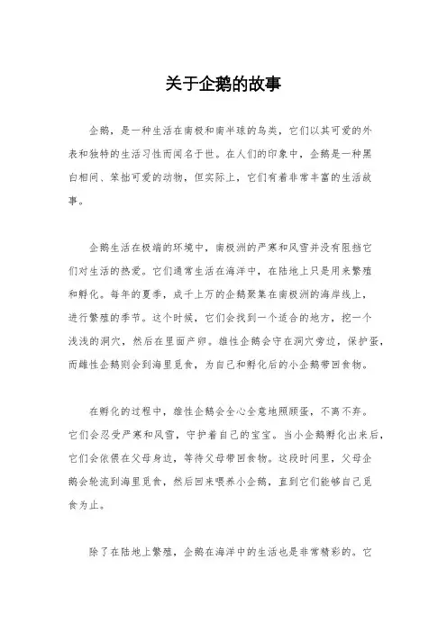 关于企鹅的故事
