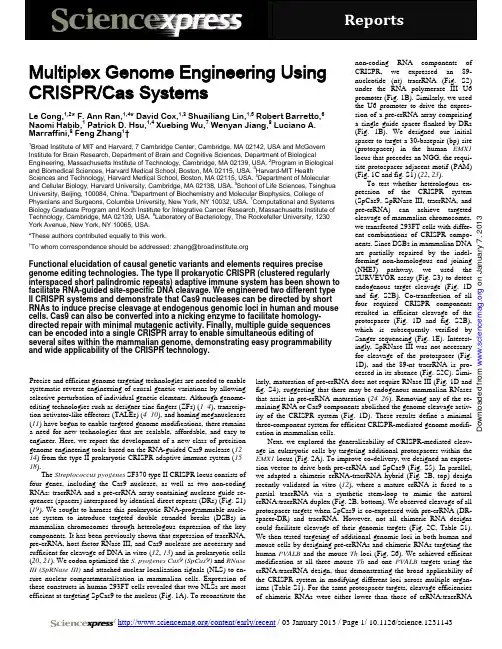 Multiplex Genome Engineering Using CRISPR Cas Systems