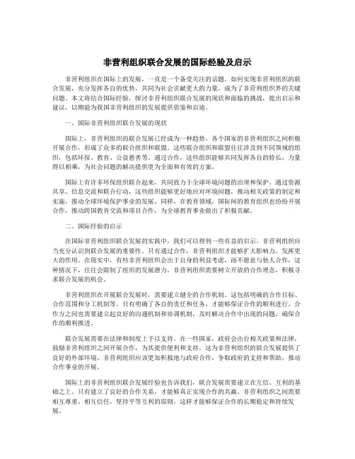 非营利组织联合发展的国际经验及启示