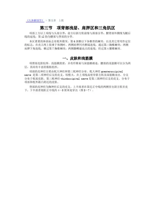《人体解剖学》_第三节 项背部浅层、肩胛区和三角肌区_中医世家