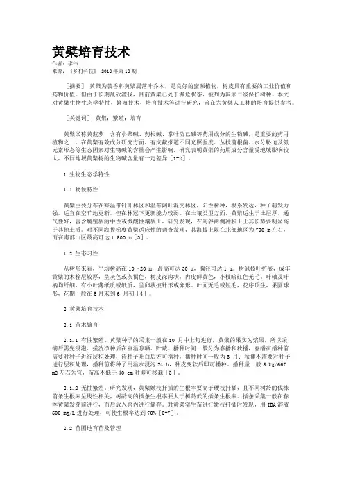 黄檗培育技术