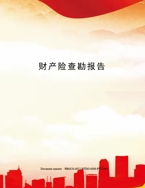 财产险查勘报告修订版